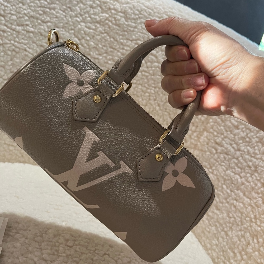 Louis Vuitton bag